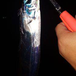 ワインドジャンキー引退します。