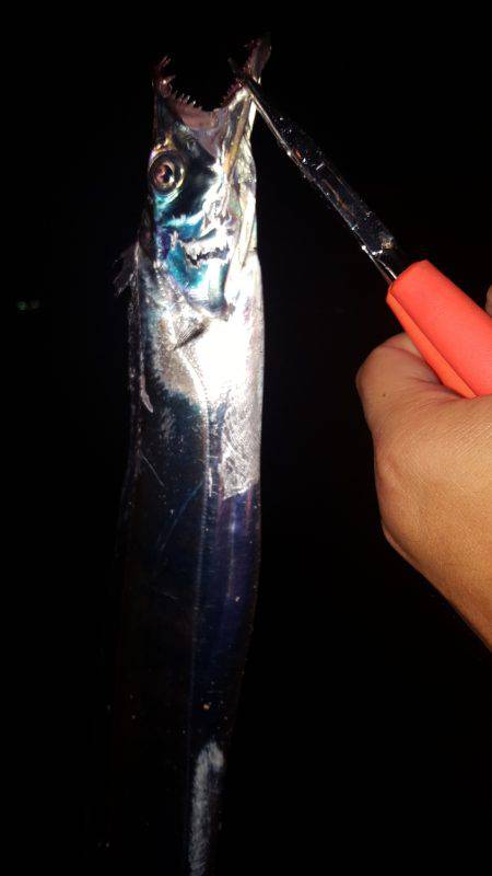 ワインドジャンキー引退します。