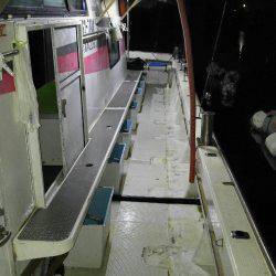 釣れていたはずのハマチ釣り