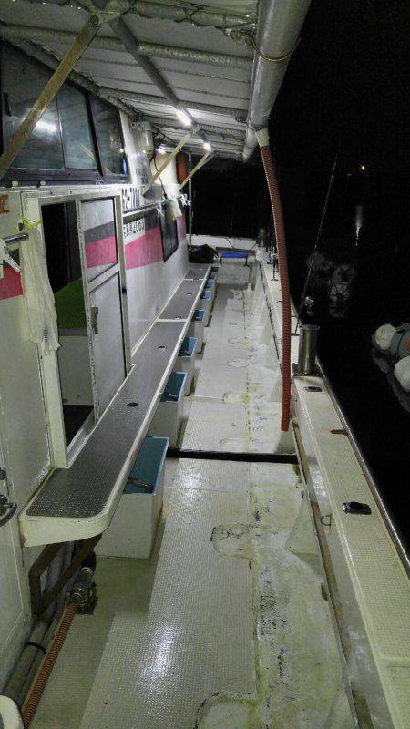 釣れていたはずのハマチ釣り