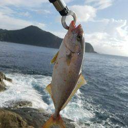 佐多岬でルアー釣り