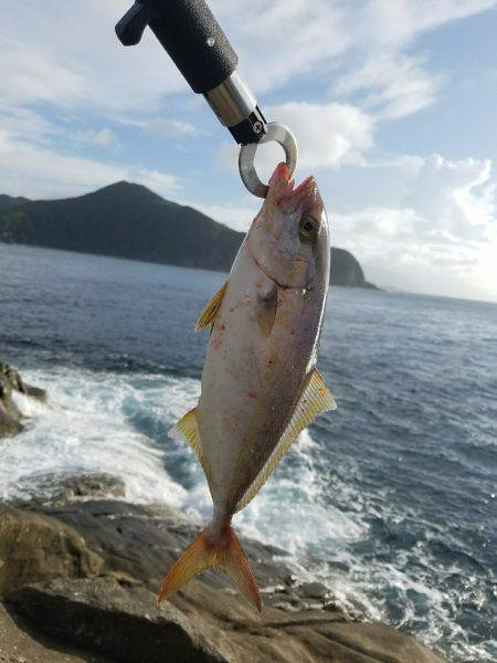 佐多岬でルアー釣り