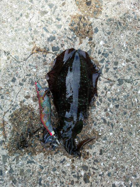 なんてこったい！