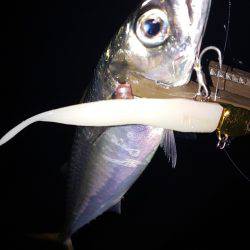 ショートバイトの中‼