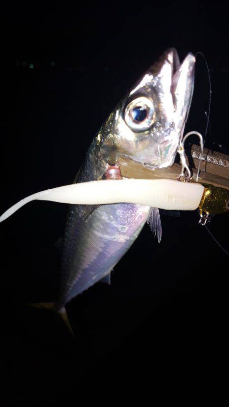 ショートバイトの中‼