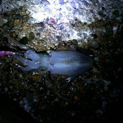 台風が来る前に