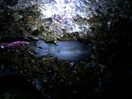 台風が来る前に