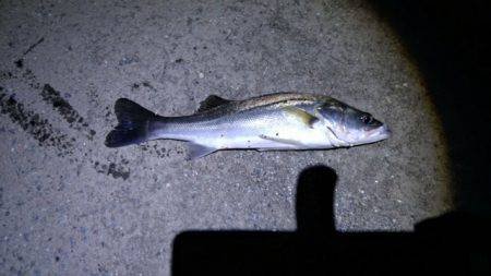 台風後　雲出川アタック