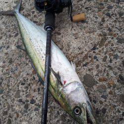 バスタックルでショアジギ
