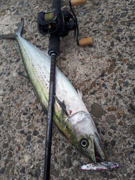 バスタックルでショアジギ