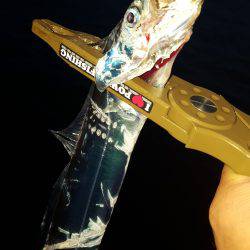 ありがとうございます‼