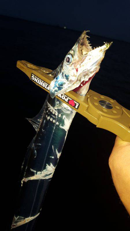 ありがとうございます‼