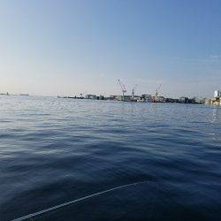 またまた、兵庫突定♪(笑)