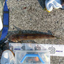 神戸渡船さんに乗りまして