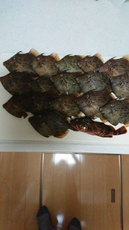 ワッペン サイズ