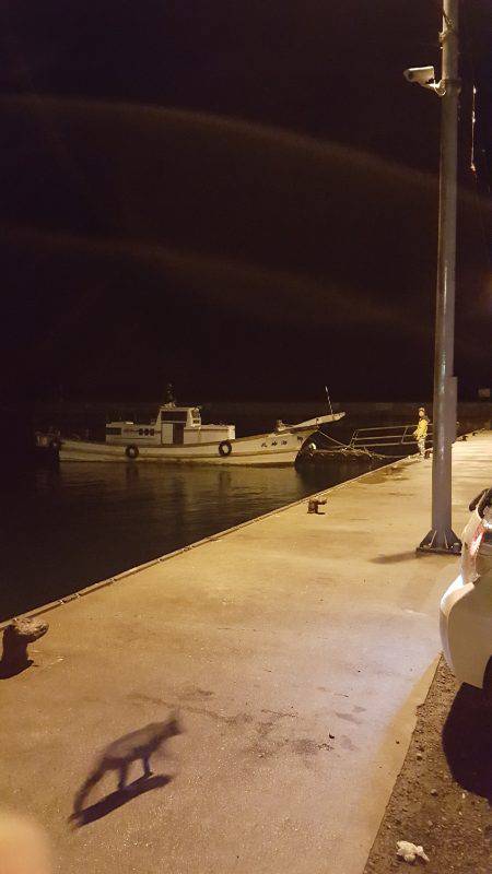 雨の中エギング！