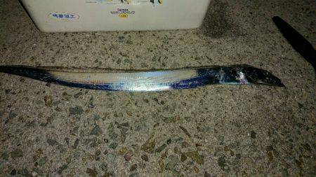 台風後のワインド