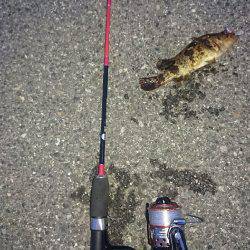 テトラで穴釣り