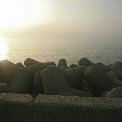 朝マズメ ライトショアジギング