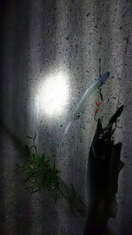 ちょっと刀狩り