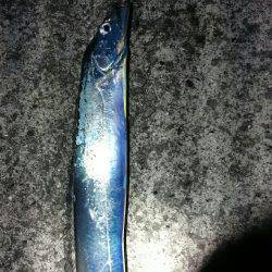 届かないナブラ