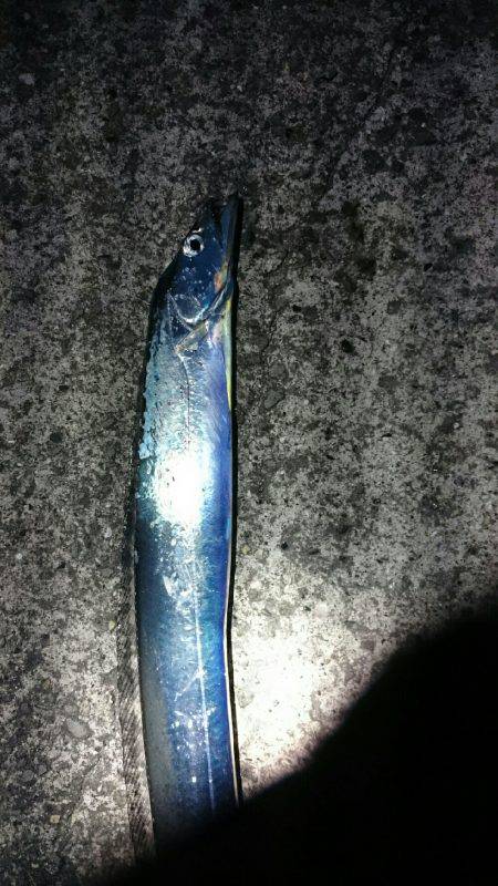 届かないナブラ