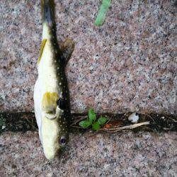 台風が来る前に！