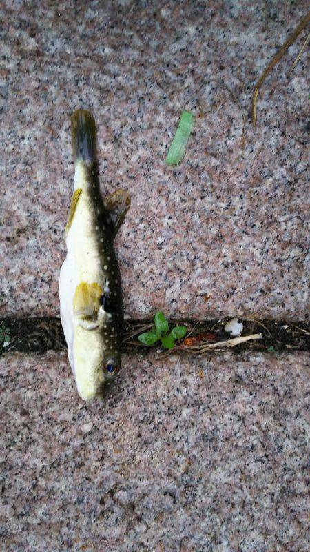 台風が来る前に！