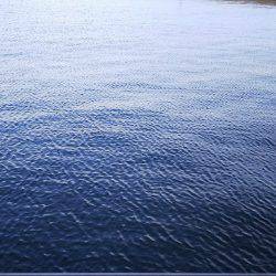 アジング中毒⁉️