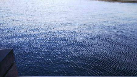 アジング中毒⁉️