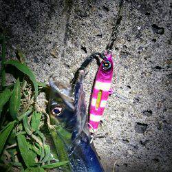 パターンを探して‼