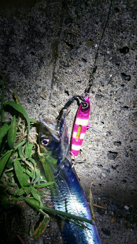 パターンを探して‼