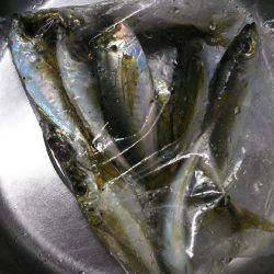 だんだん渋くなってきた⁉️