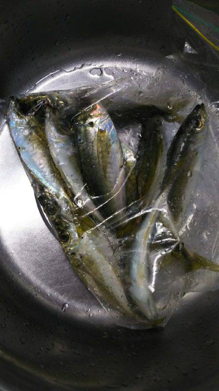 だんだん渋くなってきた⁉️