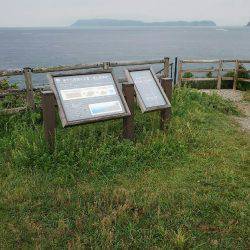 ハマチと呼んでいいでしょうか？