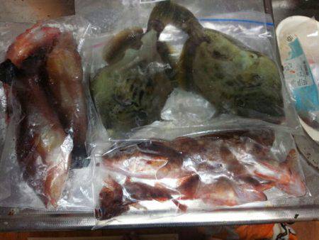 魚探には、お魚マークの大行列なのに！