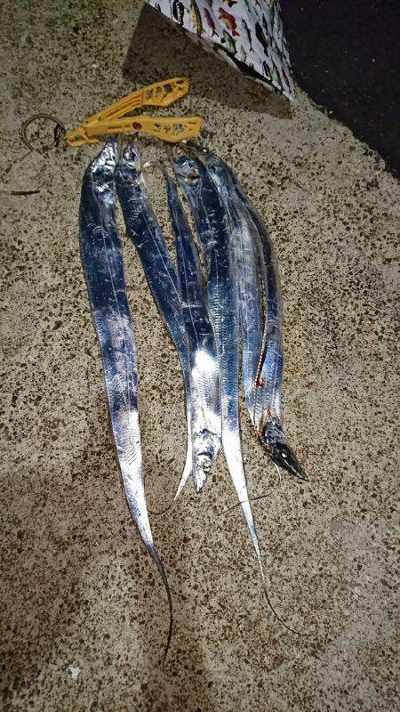 全部、釣りたかった❗