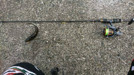 場所取り合戦敗北