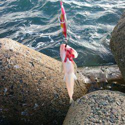 釣りたいけど釣れない❗