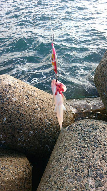 釣りたいけど釣れない❗