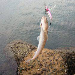 ショアジギング