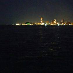 エギでケンサキイカ、サビキでアジ