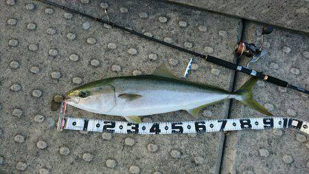 まさかの大物！！