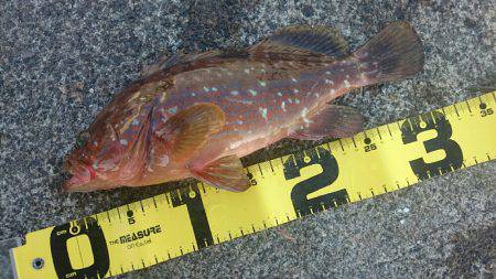 ミッション完了