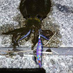 サイズがよくなってきましたね♪