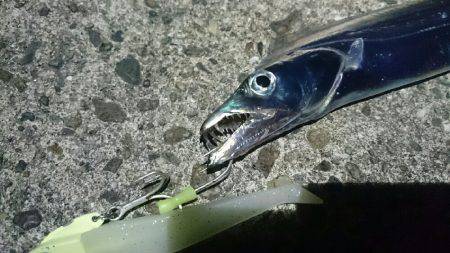 太刀魚ワインド