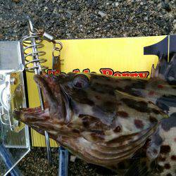 台風後の落とし込み