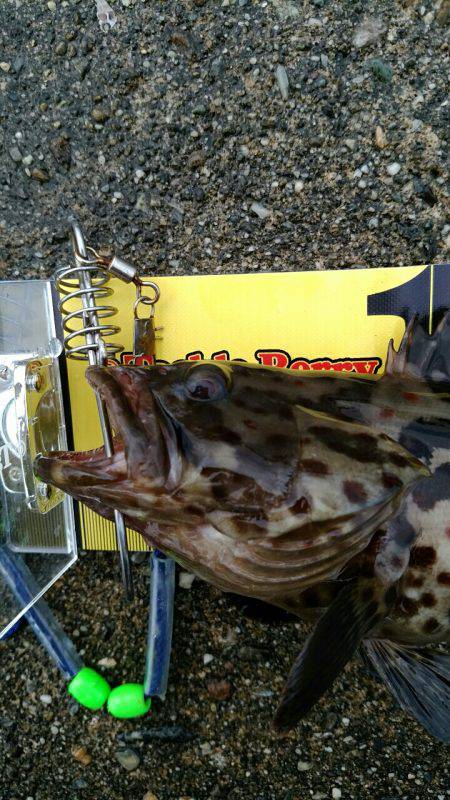 台風後の落とし込み