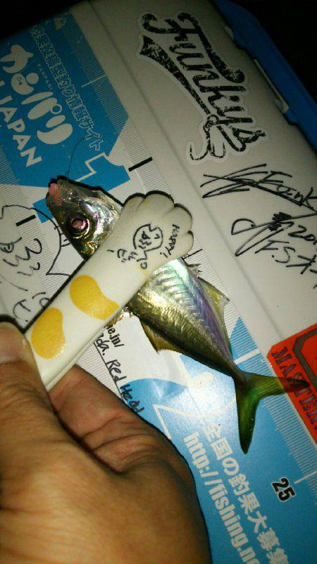 秋の夜長にナイトアジングはいかが？(笑)