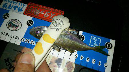 ちょっとテクニカルな豆アジでした(笑)